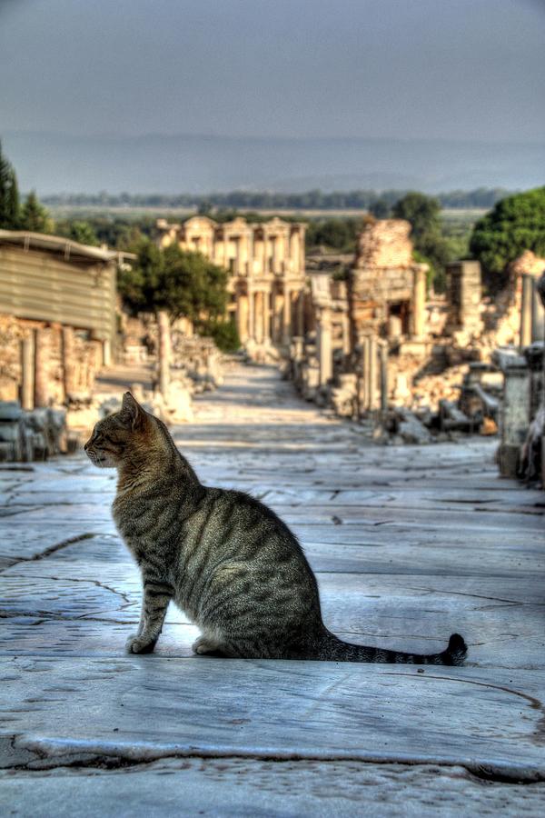 Ephesus Turkey #19 Photograph by Paul James Bannerman