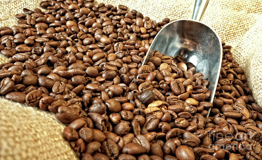 Espresso And Coffee Grain #19 Photograph by Gualtiero Boffi