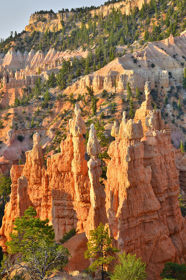 Fairyland Canyon #25 Photograph by Ray Mathis