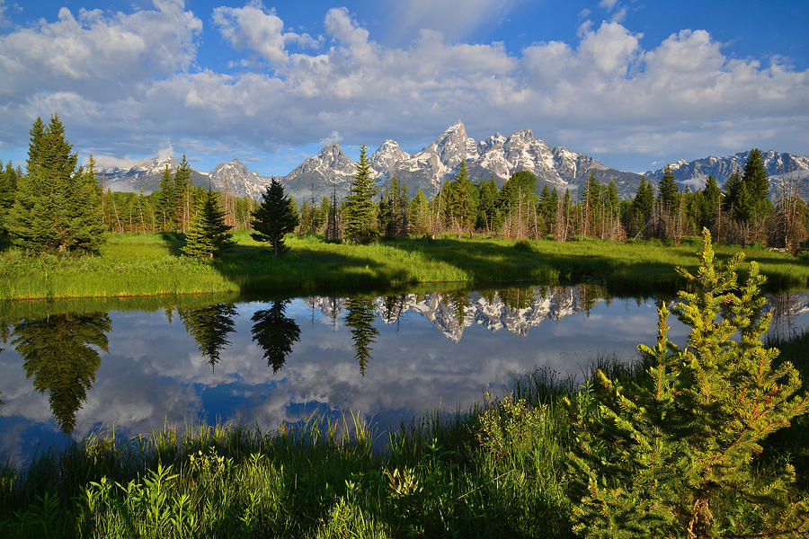 Grand Teton National Park #19 Photograph by Ray Mathis