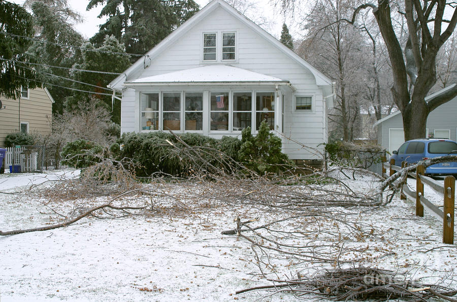 Ice Storm #19 Photograph by Ted Kinsman