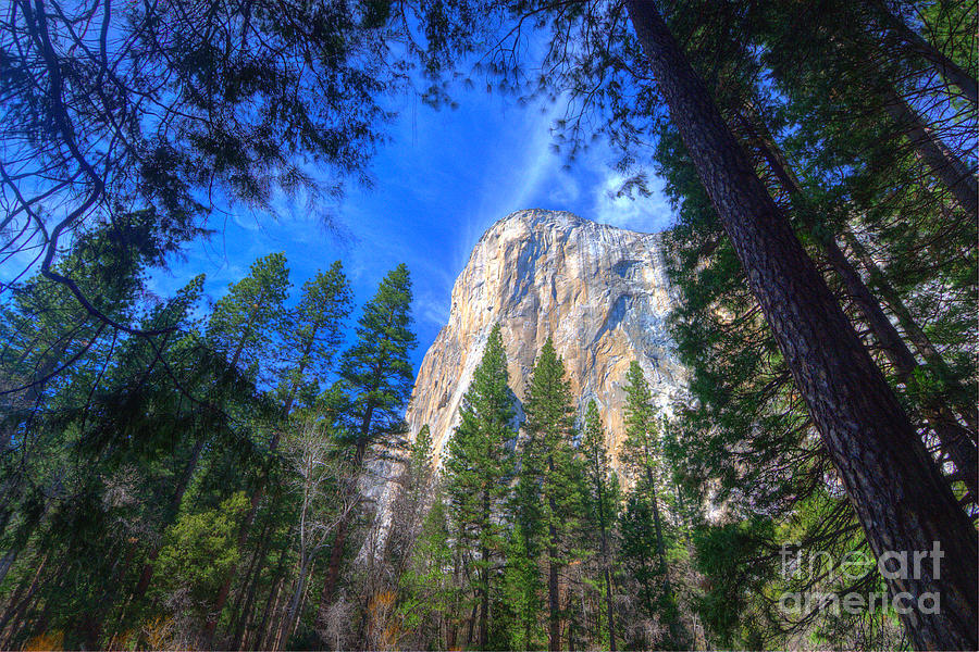 In Yosemite #19 Photograph by Marc Bittan