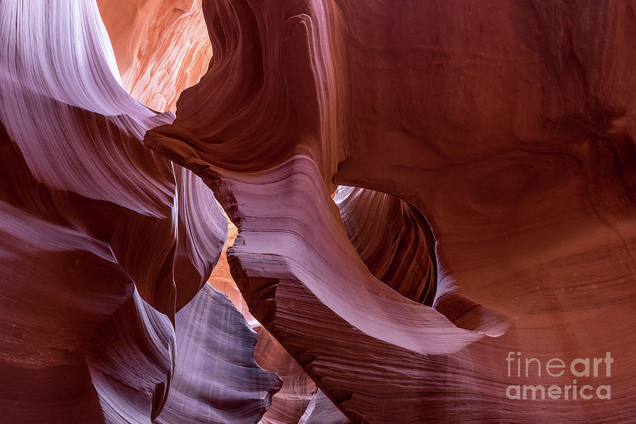 Lower Antelope Canyon #1 Photograph by Craig Shaknis