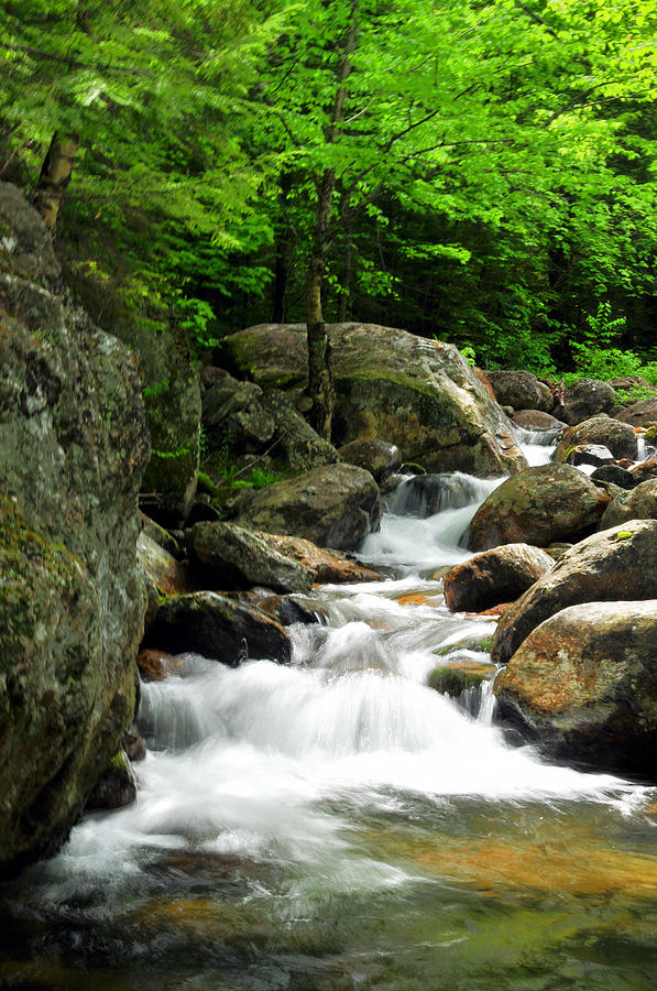 19 Mile Brook I Photograph by Frank LaFerriere - Fine Art America