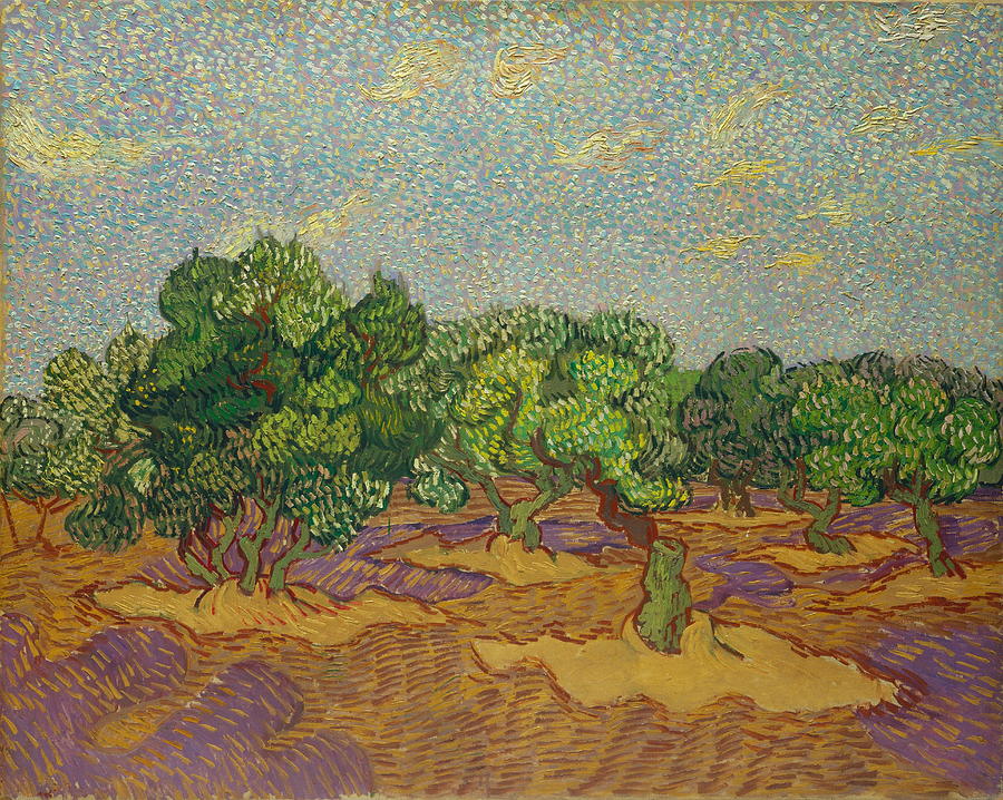  Olive Trees #20 Painting by Vincent van Gogh