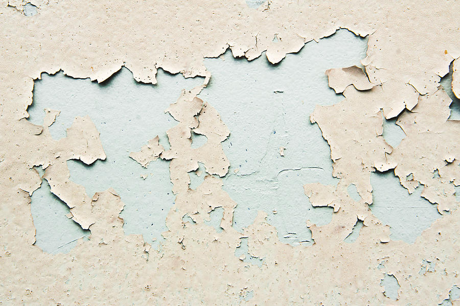 Abstract Photograph - Peeling paint #19 by Tom Gowanlock