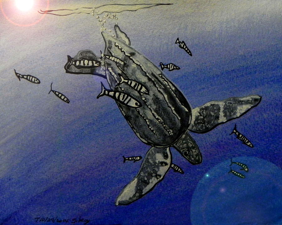 Wildlife Painting - Sea Turtle #21 by W Gilroy