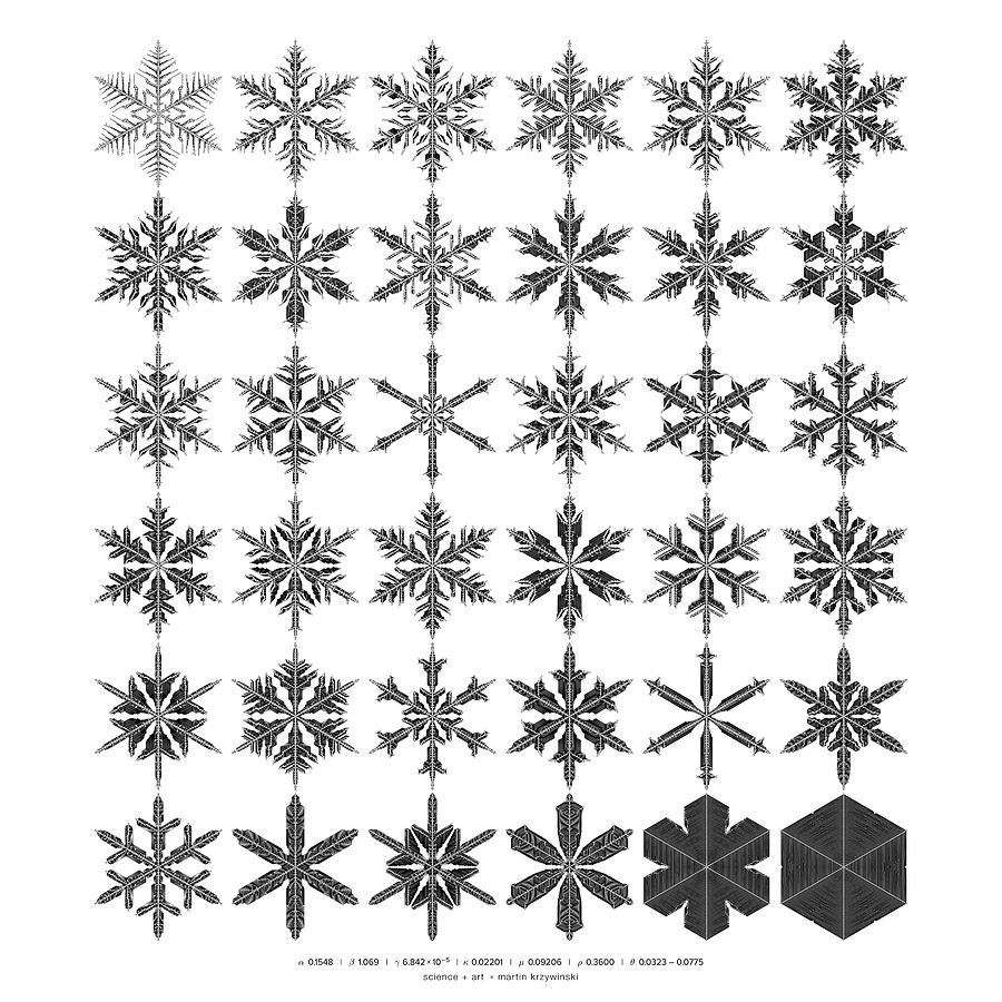 Snowflakes Digital Art - Snowflake simulation #19 by Martin Krzywinski