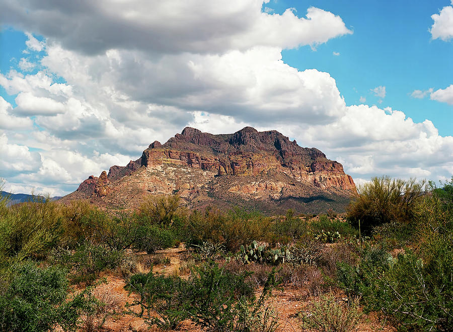 Sonora Desert Photograph by Paul Moore - Fine Art America