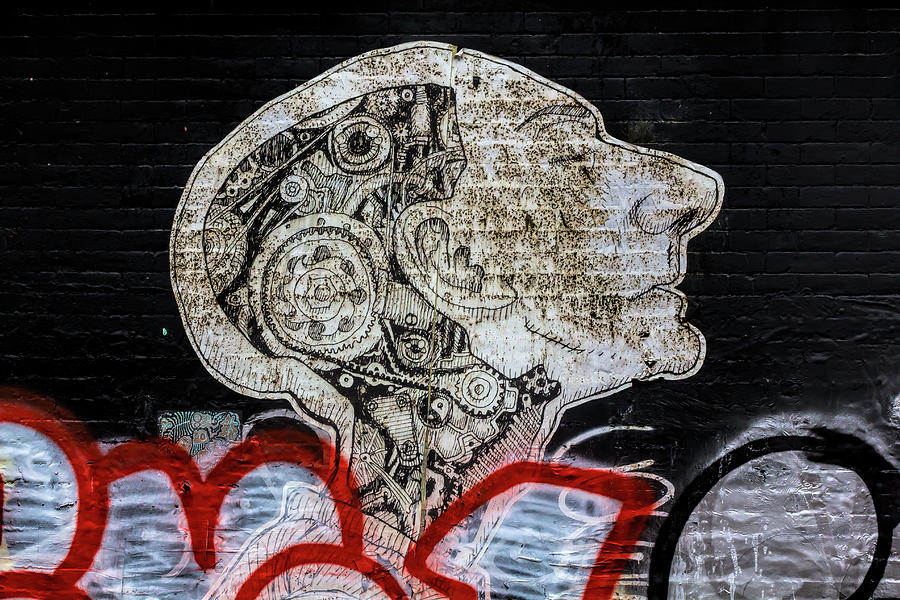 Graffiti Photograph - Street Art Lower Manhattan #19 by Robert Ullmann