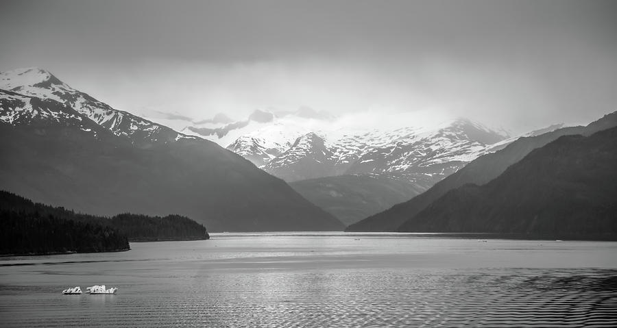 Tracy Arm Fjord Scenery In June In Alaska #19 Photograph by Alex Grichenko