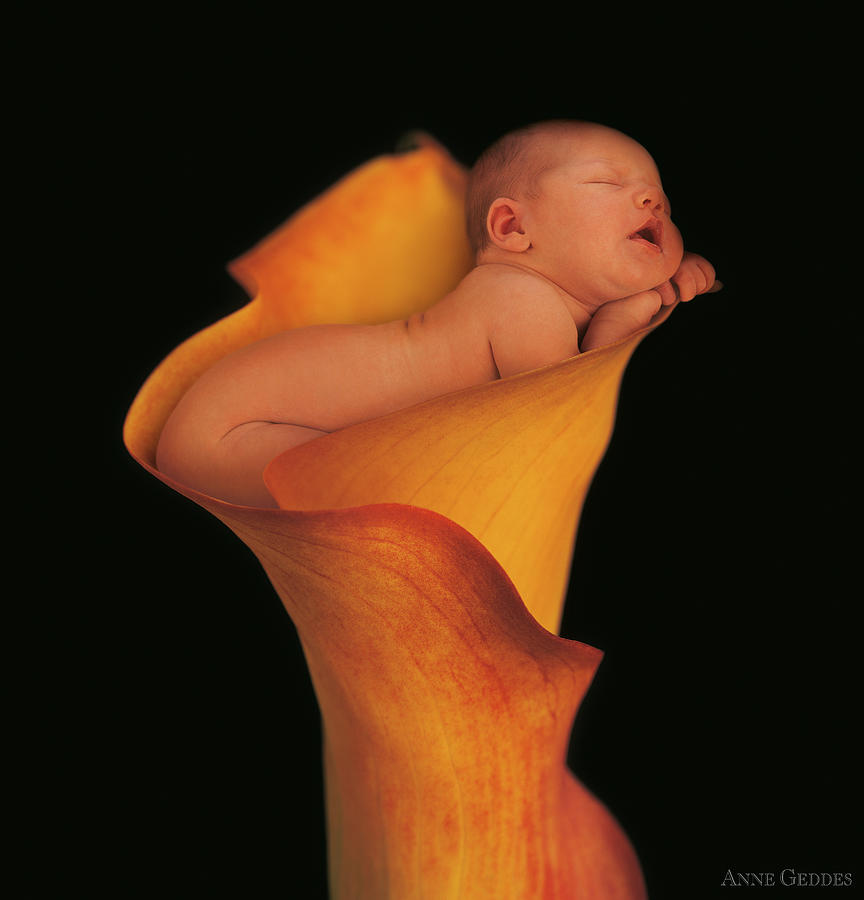 Camryn in a Calla Lily Photograph by Anne Geddes