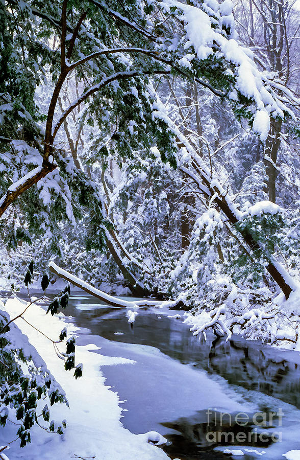 Winter along Cranberry River #19 Photograph by Thomas R Fletcher