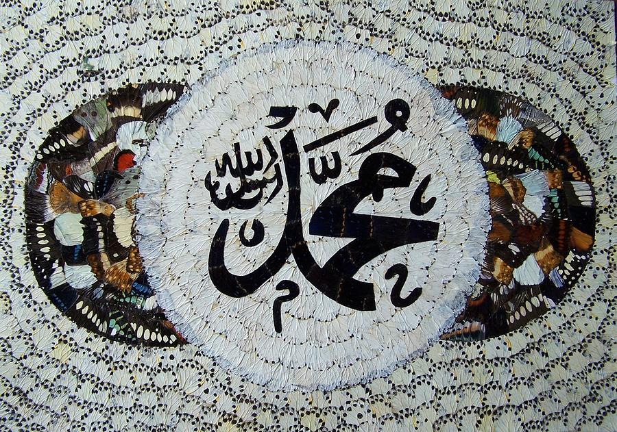Butterfly Wings Painting - Butterfly Wings by Ayhan Yilmaz Butterfly Wings Painting - Butterfly Wings by Ayhan Yilmaz