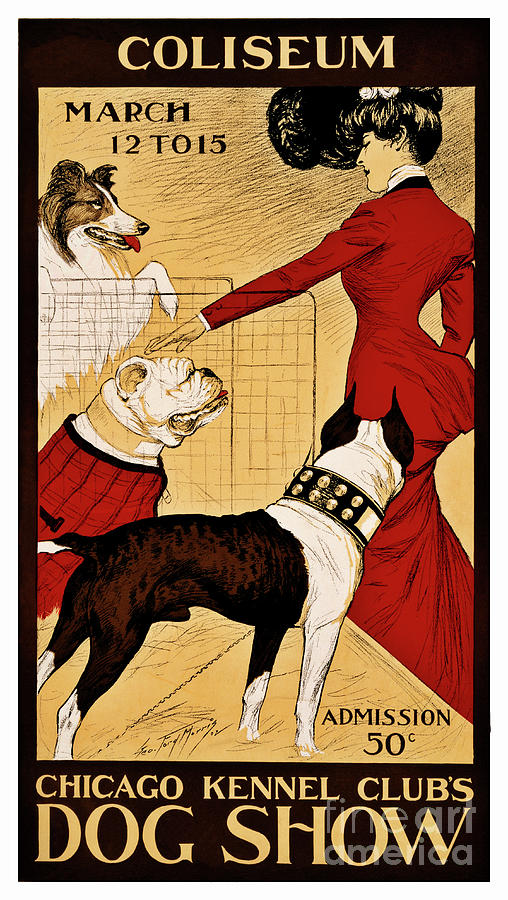 1902 Chicago Dog show Coliseum Drawing by Heidi De Leeuw