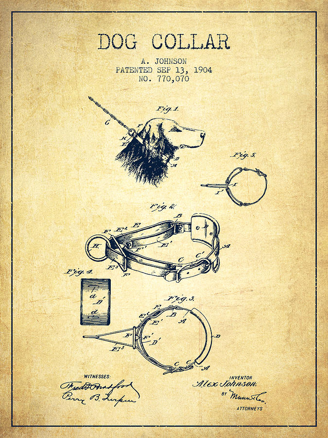 Dog Digital Art - 1904 Dog Collar Patent - Vintage by Aged Pixel