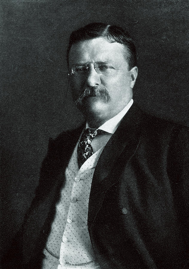 1904 President Theodore Roosevelt Painting by Historic Image