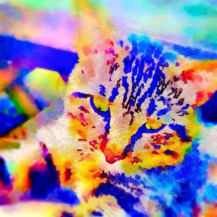 Cat Photograph - Cat Watercolor Square by Jennifer Richter