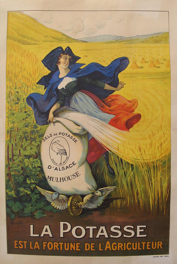 Vintage Painting - 1920s Original French Agriculture Poster, Potasse est la Fortune de lAgriculteur, Marcellin Auzolle by Marcellin Auzolle