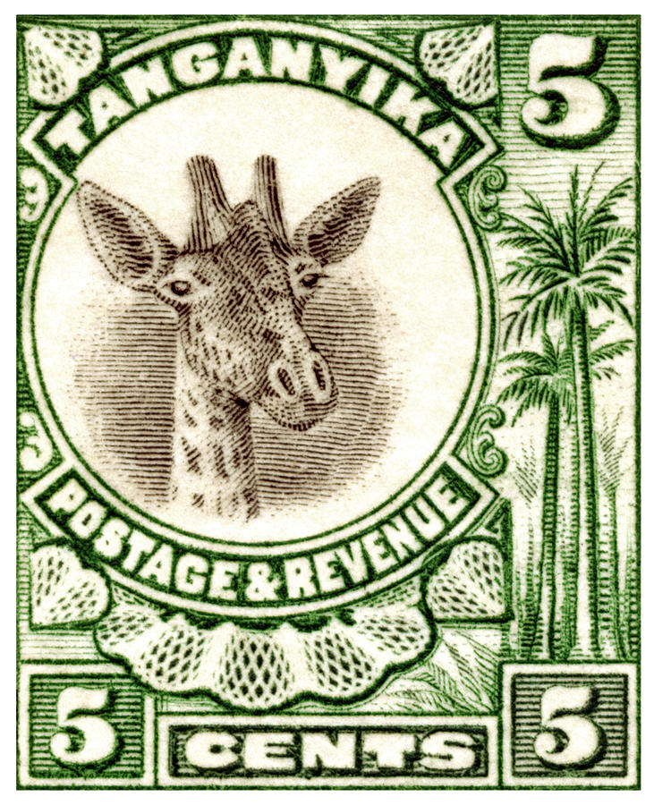 Vintage Painting - 1922 East African Giraffe Stamp by Historic Image