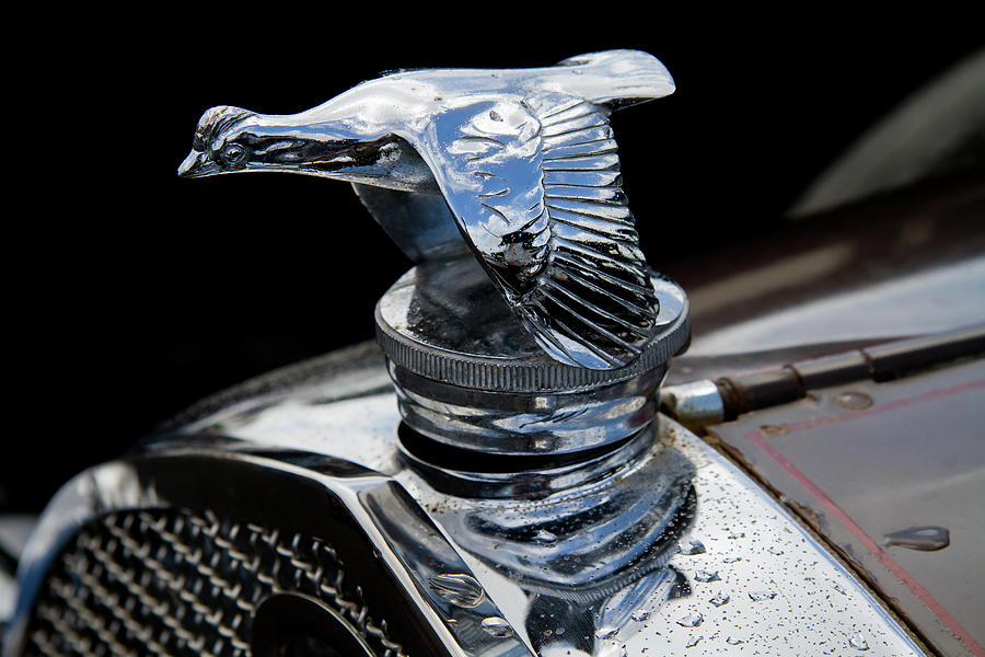 1929 Model A Hood Ornament Photograph by Roger Mullenhour