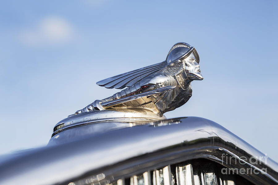 1931 Desoto Hood Ornament Photograph by Dennis Hedberg