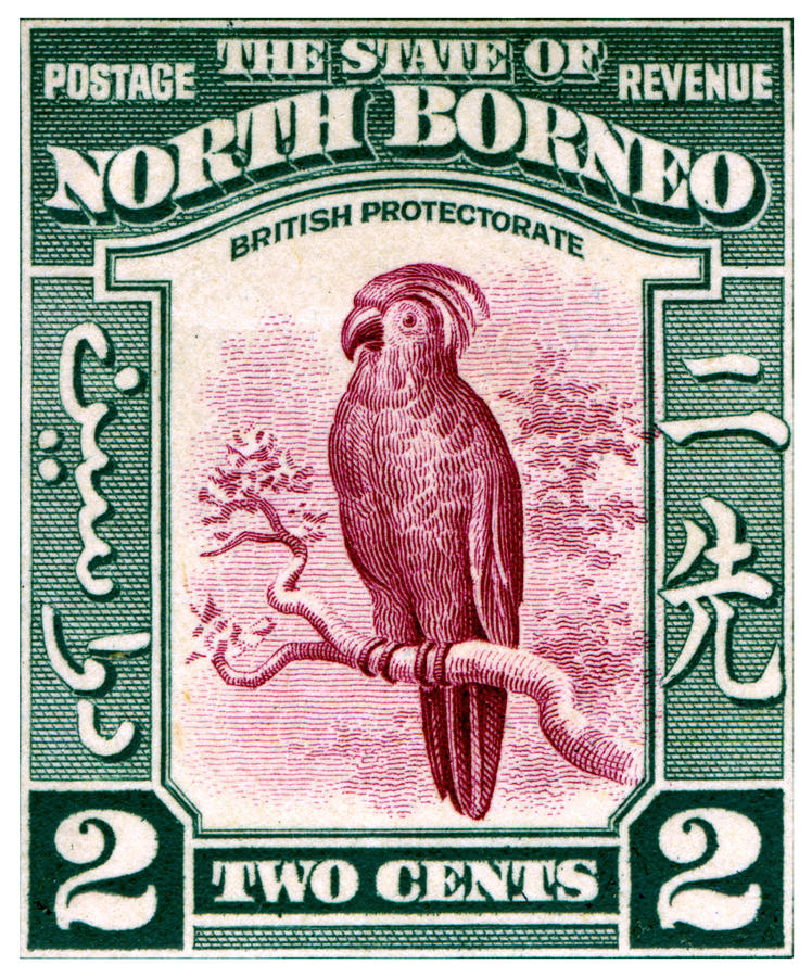 1931 North Borneo Palm Cockatoo Stamp Painting by Historic Image