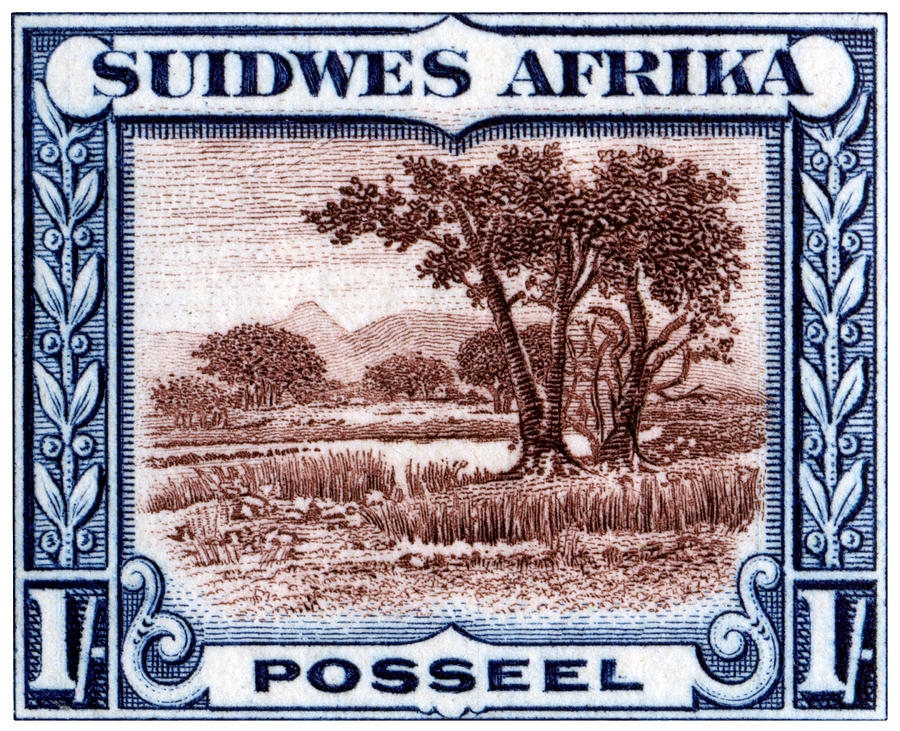 1931 South West African Landscape Stamp Painting by Historic Image