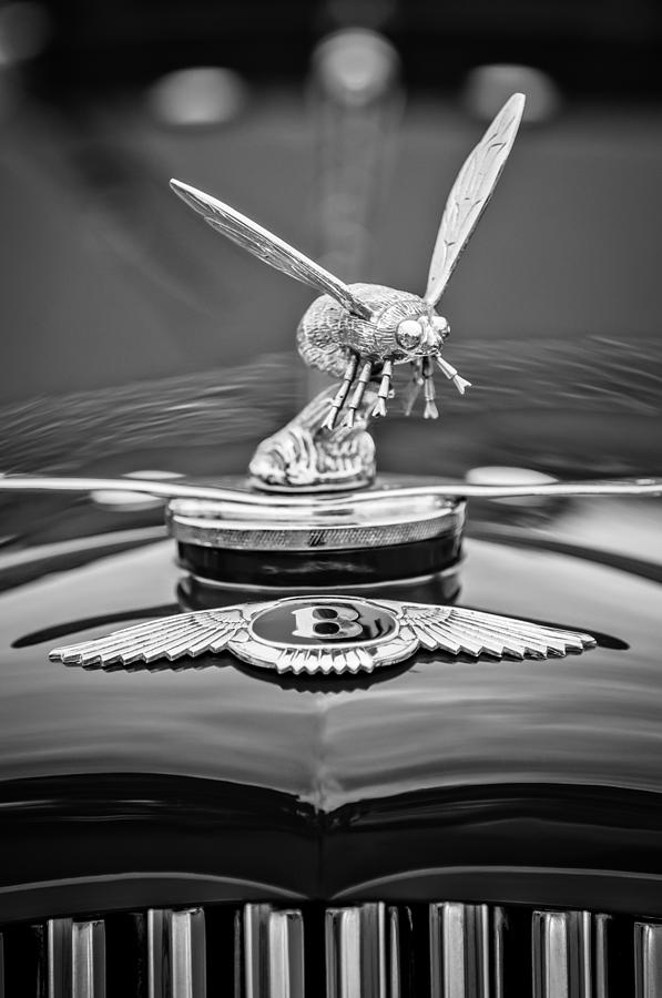 Black And White Photograph - 1934 Bentley 3.5-Litre Drophead Coupe Hood Ornament -1669bw by Jill Reger