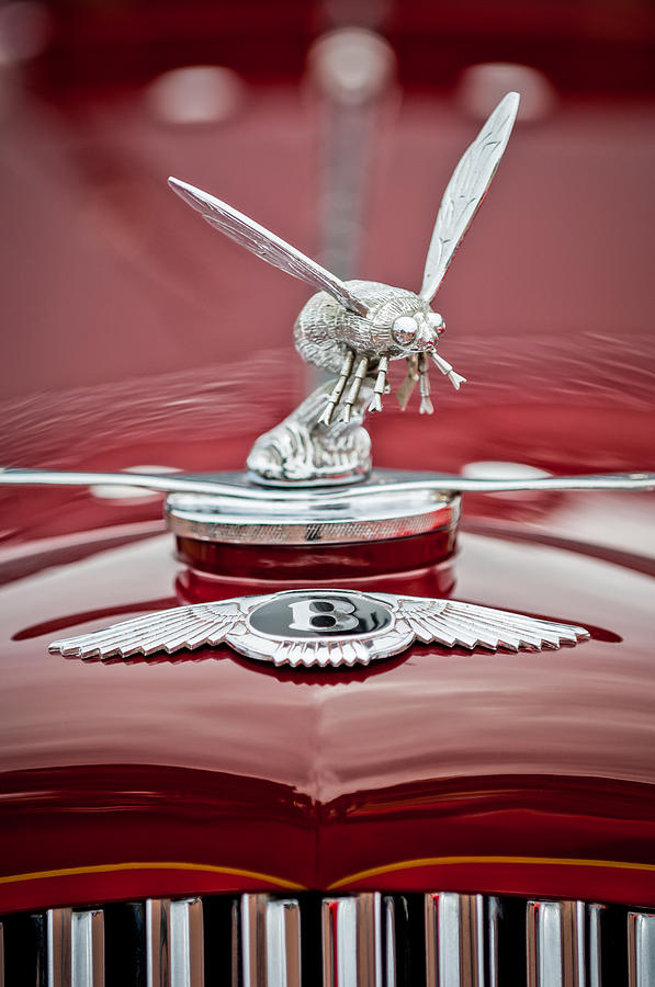 1934 Bentley 3.5-Litre Drophead Coupe Hood Ornament Photograph by Jill Reger