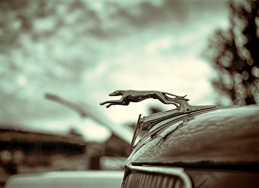 Black And White Photograph - 1934 Ford Hood Ornament by Jon Woodhams