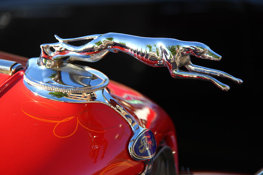 1934 Ford Hood Ornament Photograph by Michael Conroy | Fine Art America