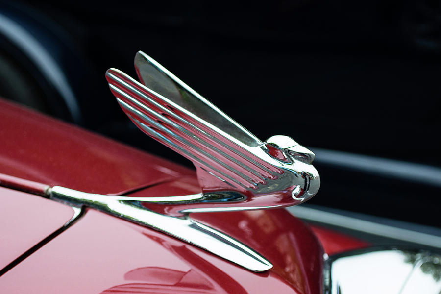 1934 Oldsmobile Hood Ornament Photograph by Ed Hughes | Fine Art America