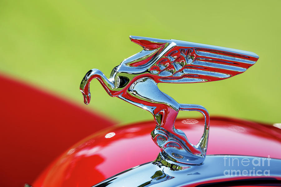 1935 Amilcar hood Ornament Photograph by Dennis Hedberg