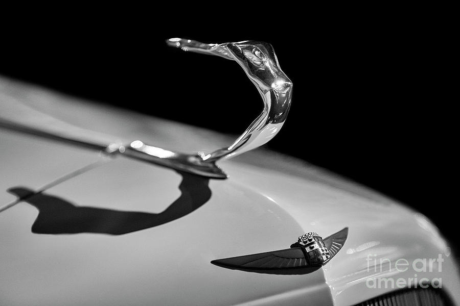 1935 Cadillac hood Ornament Photograph by Dennis Hedberg