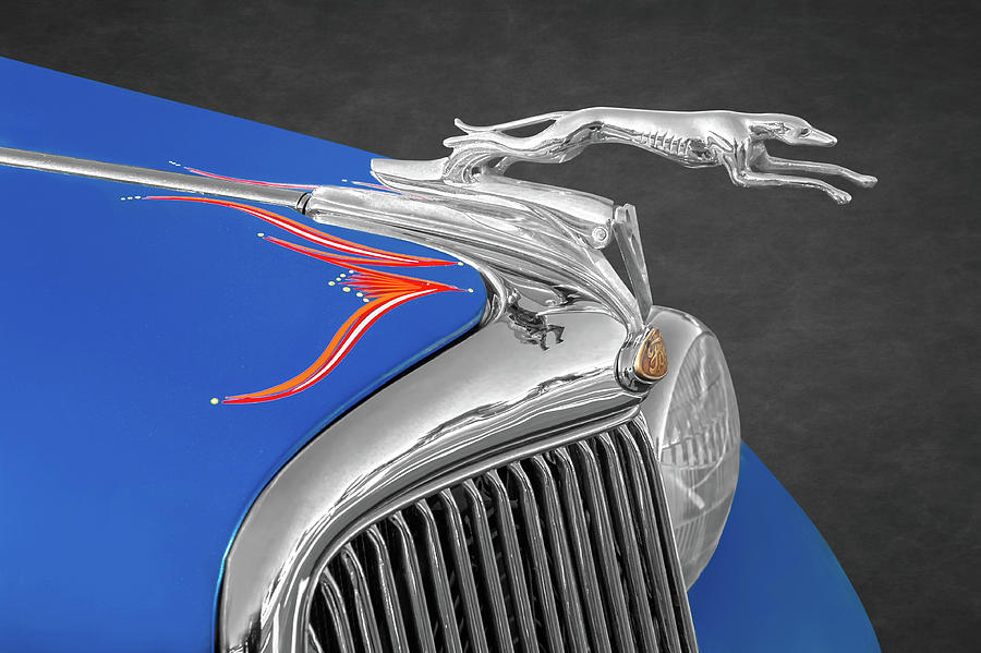 Greyhound car hood ornament hi-res stock photography and images