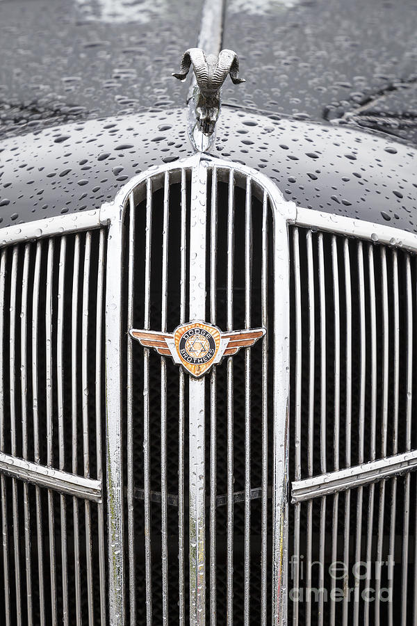 1936 Dodge Grille Photograph by Dennis Hedberg