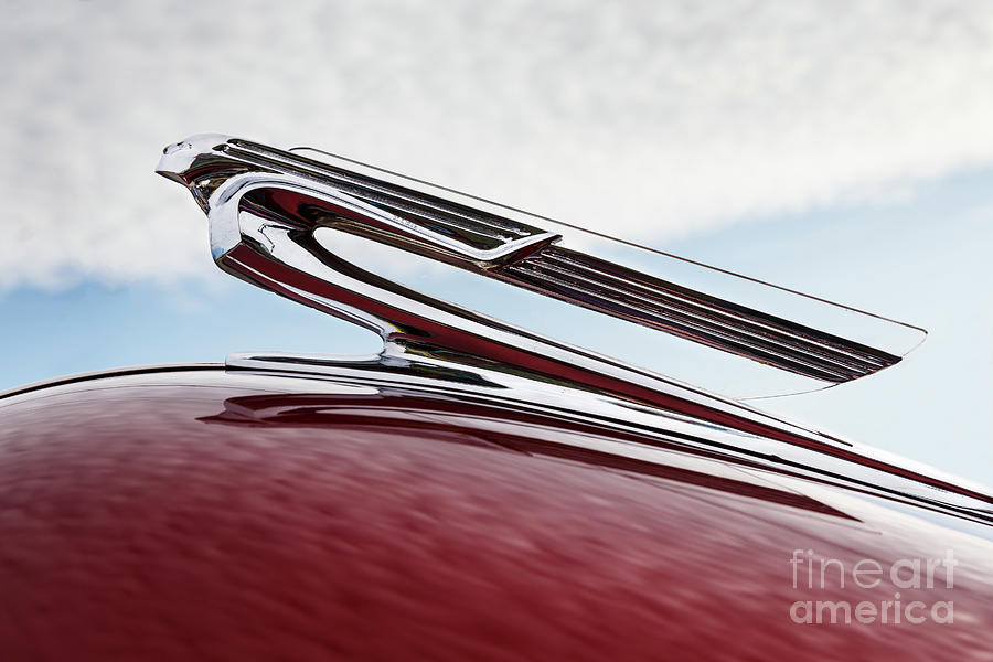 1941 hood Ornament Photograph by Dennis Hedberg