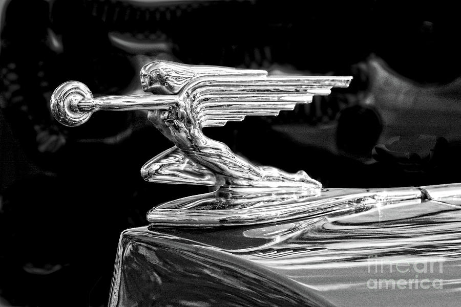 1937 Packard  Hood Ornament Convertible Coupe Roaster with Rumble Seat Black and White Photograph by Christine Dekkers