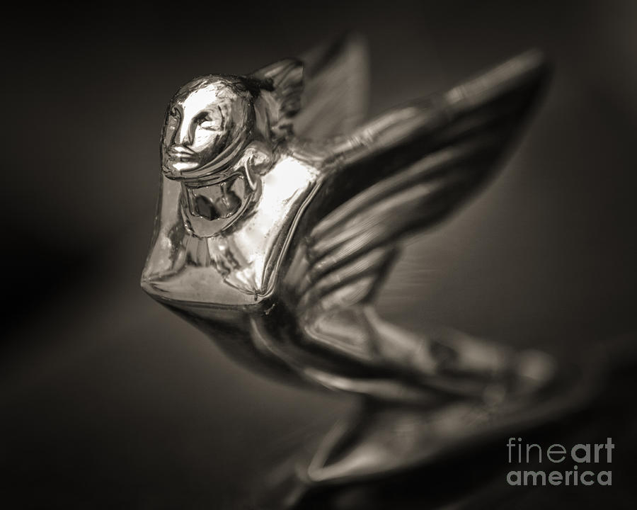 1938 Cadillac Hood Ornament Photograph by Jerry Fornarotto