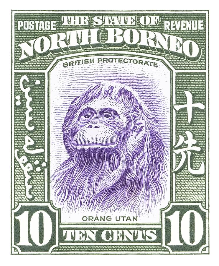 Monkey Digital Art - 1939 North Borneo Orangutan Stamp by Retro Graphics