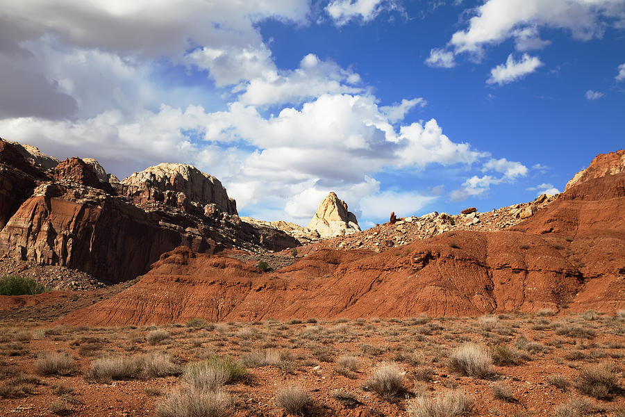Capitol Reef National Park Photograph - Capitol Reef National Park by Mark Smith Capitol Reef National Park Photograph - Capitol Reef National Park by Mark Smith