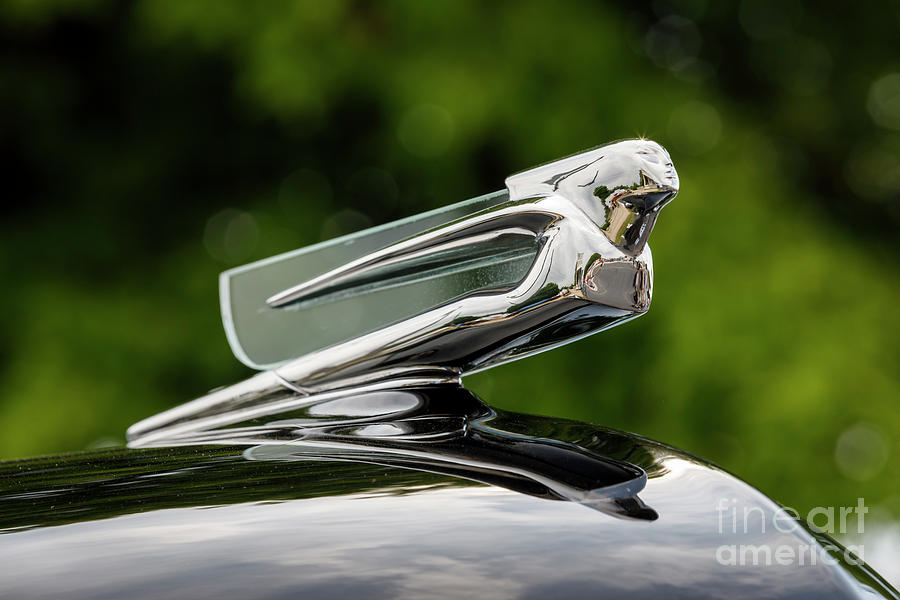 1940 Cadillac Hood Ornament Photograph by Dennis Hedberg