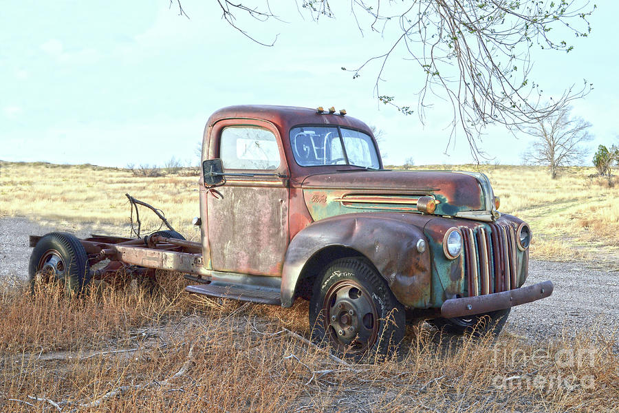 1940s Ford Farm Truck Photograph by Catherine Sherman