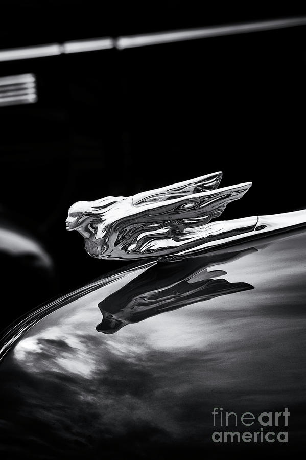 1941 Cadillac Hood Ornament Photograph by Tim Gainey
