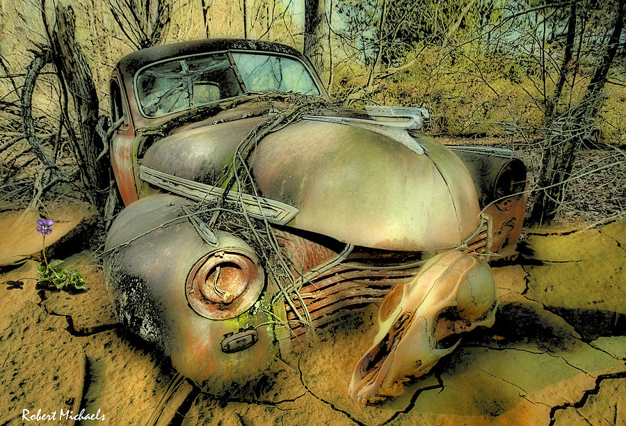 1941 Chevrolet In  Cracked Mud Photograph by Robert Michaels