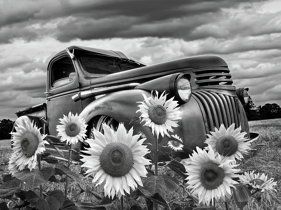 1941 Chevrolet Truck With Sunflowers In Black And White Photograph by Gill Billington