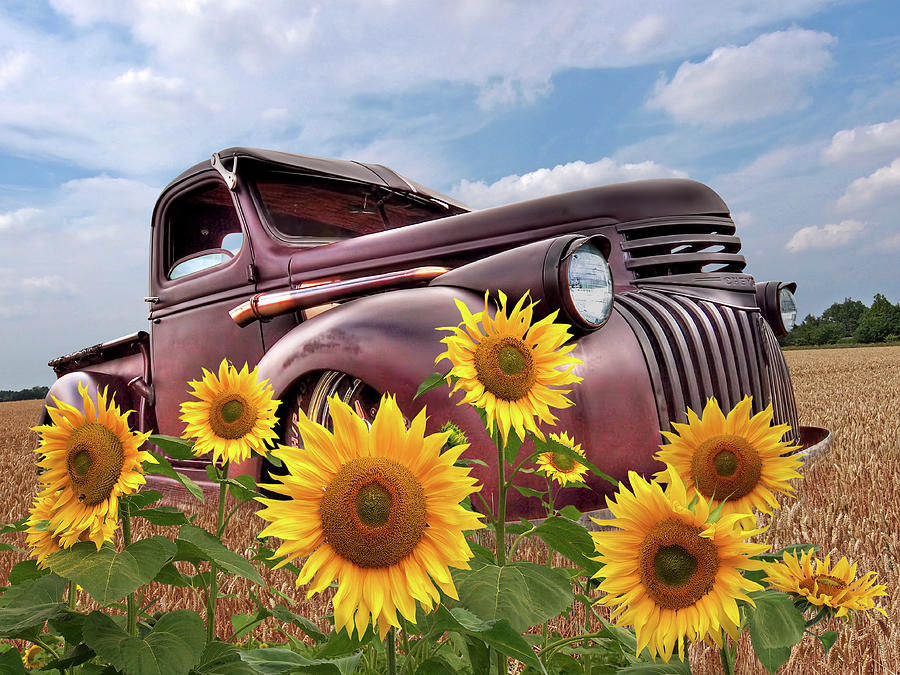 1941 Chevy Truck With Sunflowers Photograph by Gill Billington