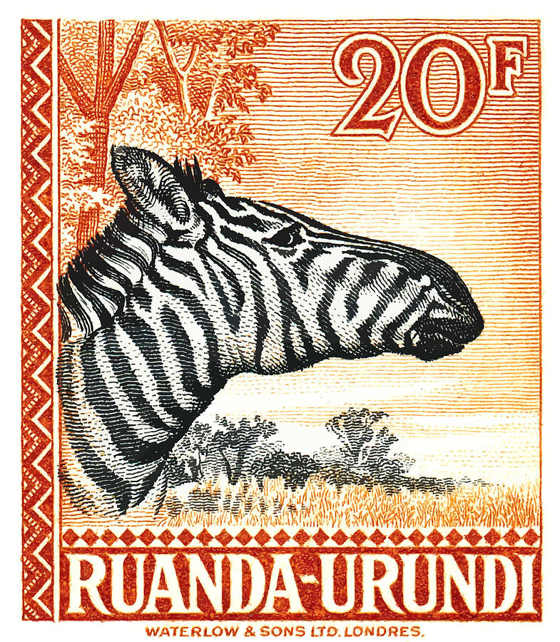 Zebra Digital Art - 1942 Ruanda Urundi Zebra Postage Stamp by Retro Graphics