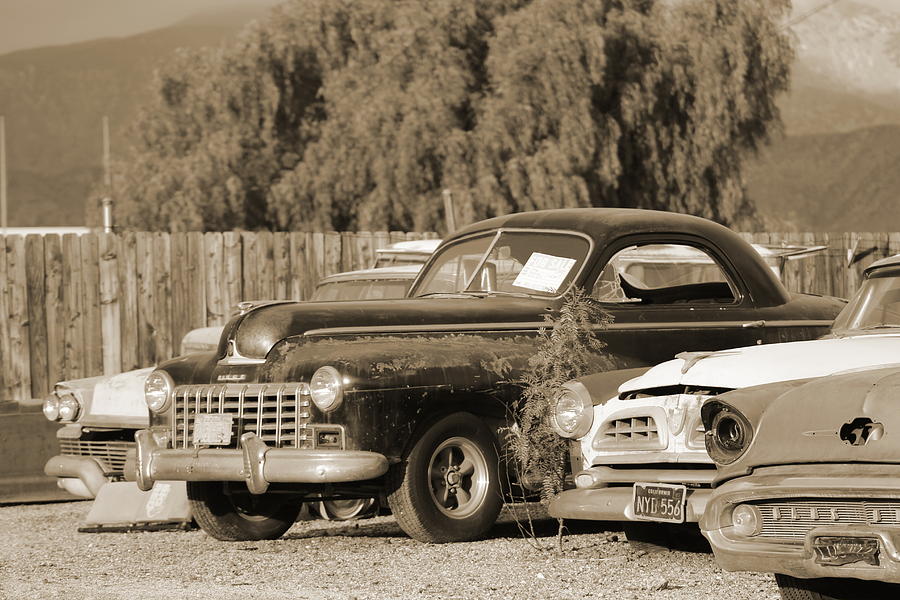 1946 Dodge in Sepia Photograph by Colleen Cornelius